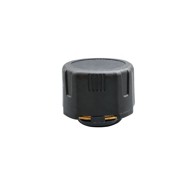 常温外部8mmバルブノズルネジ径センサー トラック/トレーラ - Temperature Sensor のレビューと価格